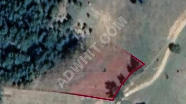 Agricultural land with an area of 3158 m2, Balıkesir Havran Kocaseyit village