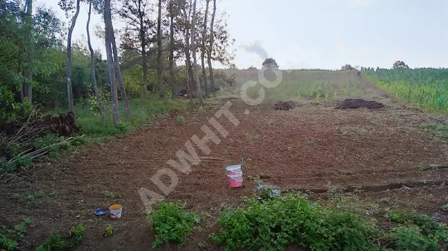 Farmland for sale in KANDIRA KARADİVAN