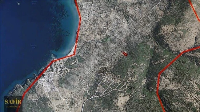 Olive grove for sale with an area of 5,100 square meters in AYVACIK BABAKALE