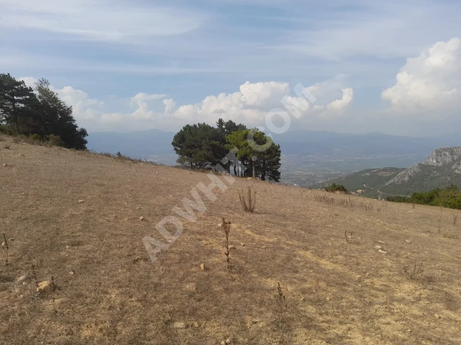 Investment land for sale in GEYVE DEMİRLER