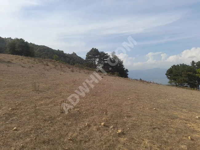 Investment land for sale in GEYVE DEMİRLER