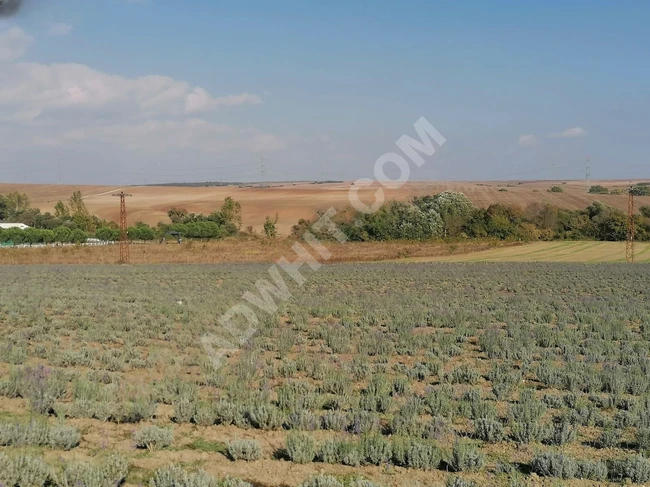 1300 meters from Çorlu Airport - from Şah Emlak