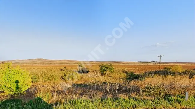 Agricultural land for sale with an area of 309m in TEKİRDAĞ MARMARAEREĞLİSİ CEŞMELİ