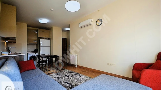 Furnished 1 + 1 apartment on a corner with garden use in NEF BASINEXPRES 36