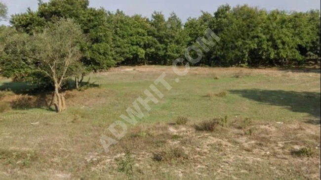 Land for sale with an area of 6628 square meters in TEKİRDAĞ SARAY KÜÇÜKYONCALI