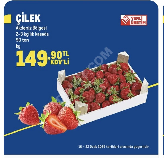 Fresh Turkish Strawberries and Cherries