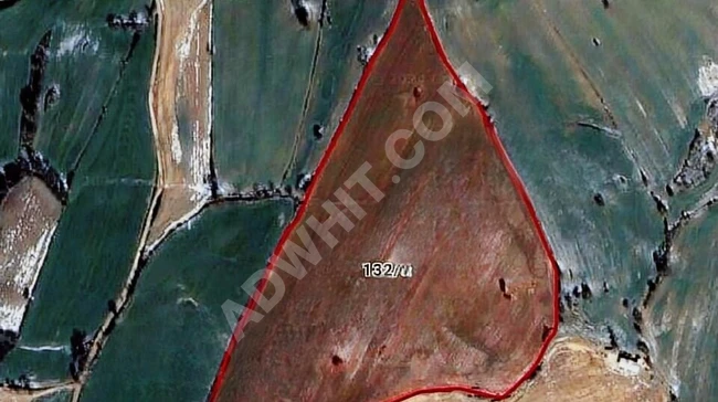 Urgent! Agricultural land for sale in Erikler - Kırklareli - Area: 64 dunams - from Alize