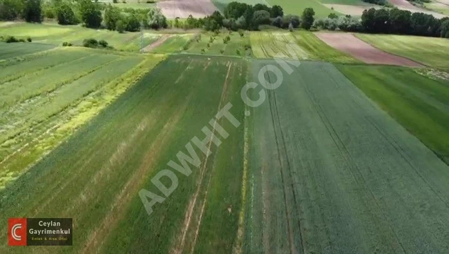 For sale: Agricultural land of 12,300 square meters in Babaeski, Kırklareli.