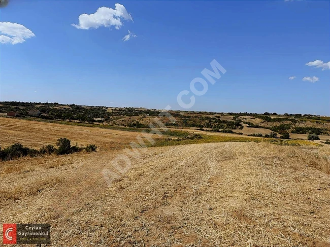 An agricultural land of 7,604 square meters located 200 meters from the village.