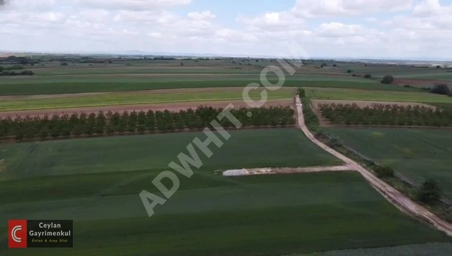 For sale: Agricultural land of 12,300 square meters in Babaeski, Kırklareli.