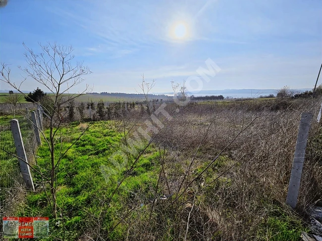 Lakeview land for urgent sale - by Arzum