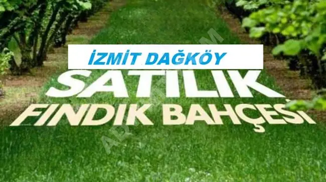 An independent plot of land measuring 9,455 square meters for hazelnut cultivation in KOCAELİ İZMİT DAĞKÖY.