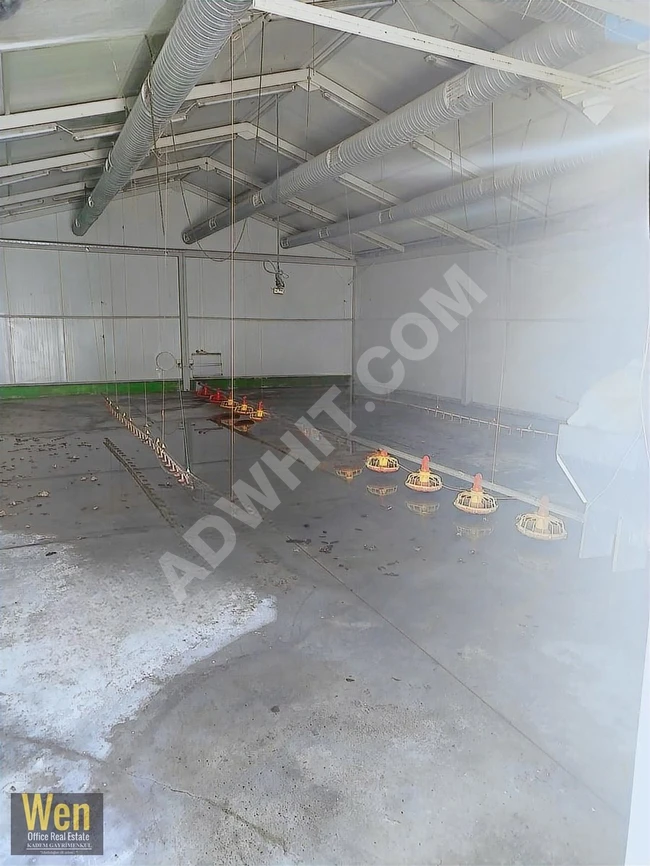 Mushroom and Chicken Production Farm Ready for Rent in the ÇATALCA Area