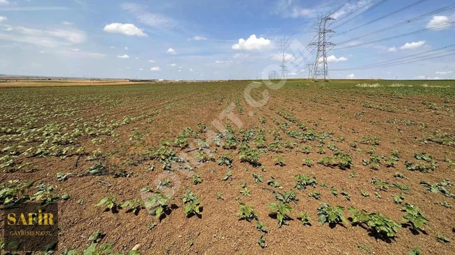 Agricultural land for sale with an area of 3250 acres near the development border in GÜMÜŞYAKA.