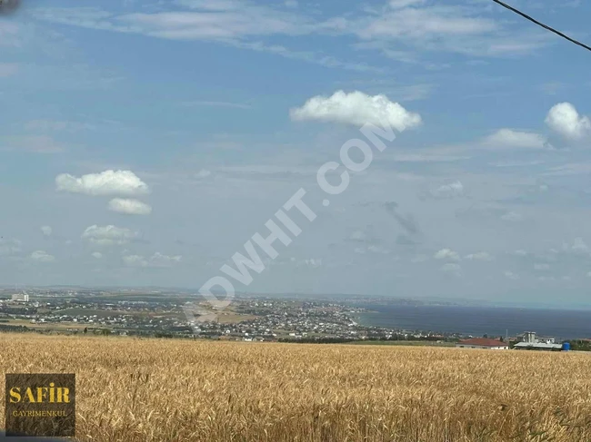 Agricultural land for sale with an area of 3250 acres near the development border in GÜMÜŞYAKA.