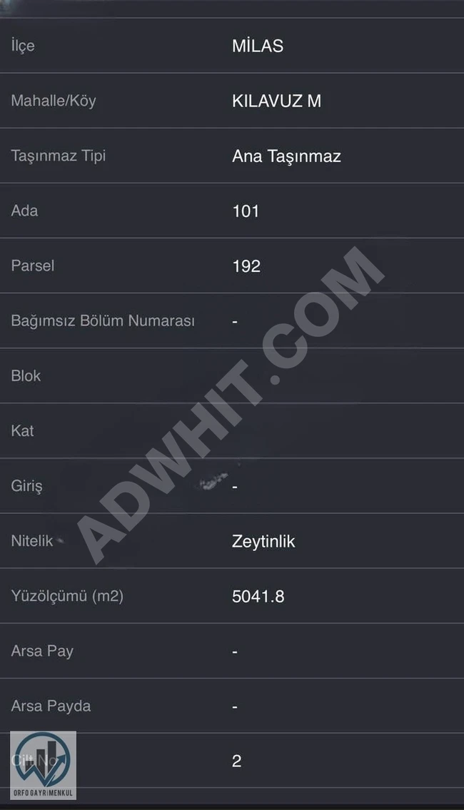 MUĞLA MİLAS KILAVUZ SATILIK ZEYTİNLİK