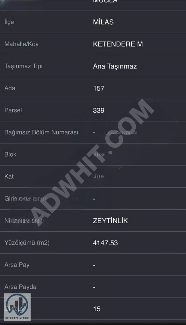 MUĞLA MİLAS KETENDERE SATILIK ZEYTİNLİK