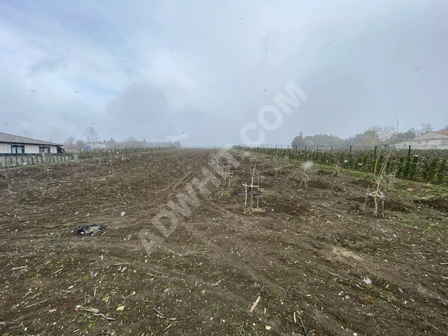 Agricultural land for sale in İSTANBUL ÇATALCA OVAYENİCE - "The sole authorized"