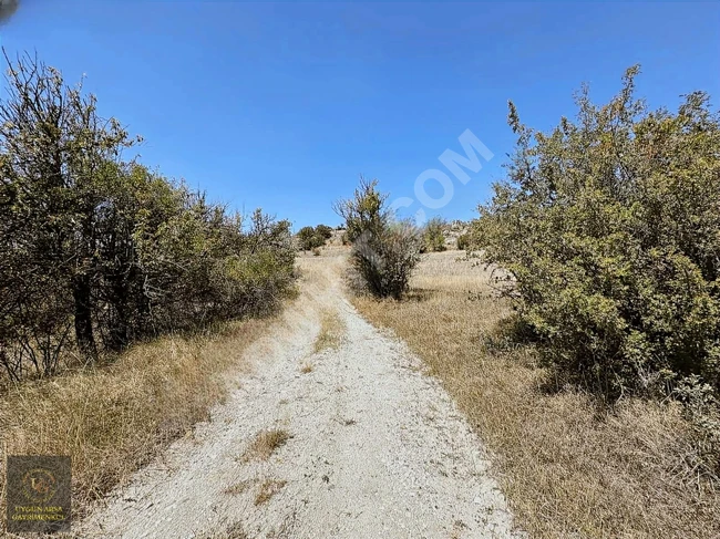 A plot of land measuring 8,370 square meters in BOLU KIBRISCIK SARIKAYA