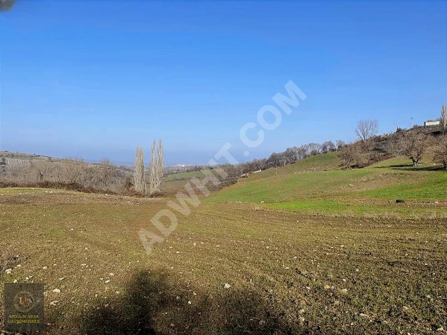 A land with an area of 5,193 square meters within the village in BALIKESİR MANYAS HEKİM.