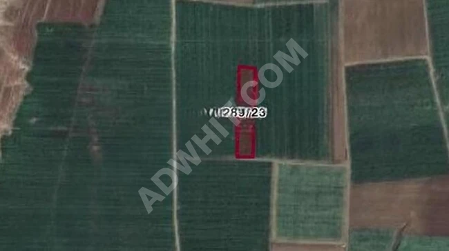 Lands for sale in SİVAS HAFİK