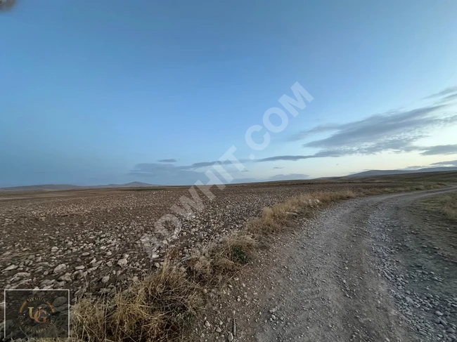 Land for sale in AFYONKARAHİSAR SULTANDAĞI ÜÇ KUYU PINARLI