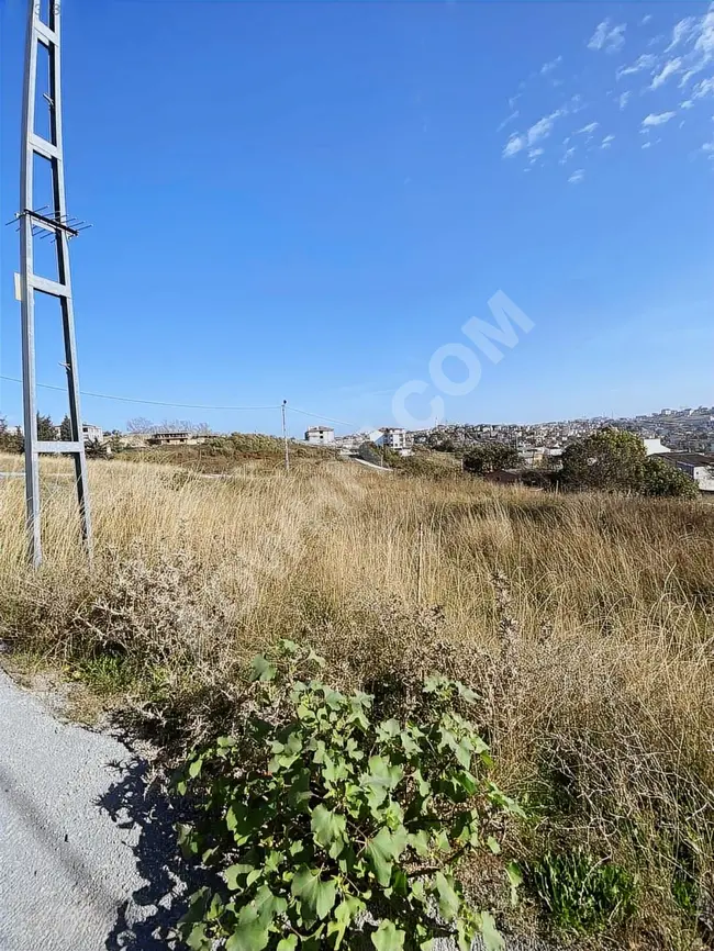 Independent plot for sale on the corner in the TAŞOLUK BAĞLAR area