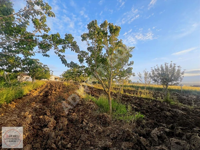 Agricultural land and farm for sale in Çatalca Elbasan (with building registration certificate)