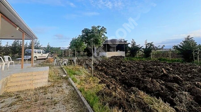 Agricultural land and farm for sale in Çatalca Elbasan (with building registration certificate)