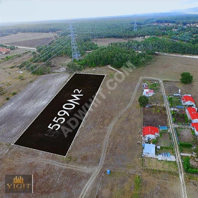 Agricultural land for sale with an area of 5590 square meters in Çatalca Binkılıç.