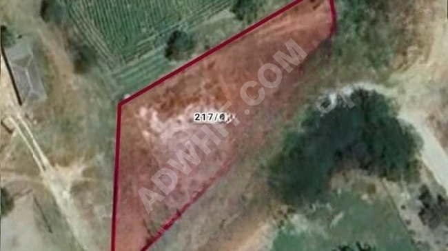 You have a not-to-be-missed opportunity to buy our land at a reasonable price in the middle of the village!