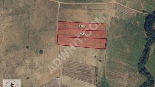 Agricultural land for sale at a reasonable price