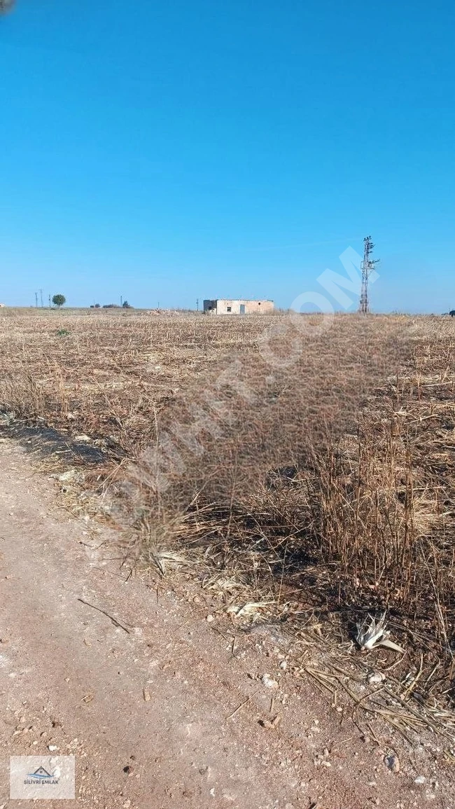 Agricultural land for sale with an area of 57,500 square meters.