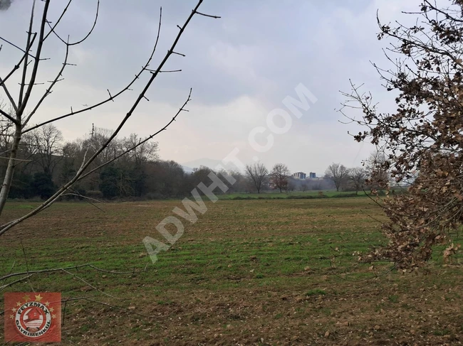 A 94 square meter net land investment opportunity in Istanbul Tuzla Tepeören.