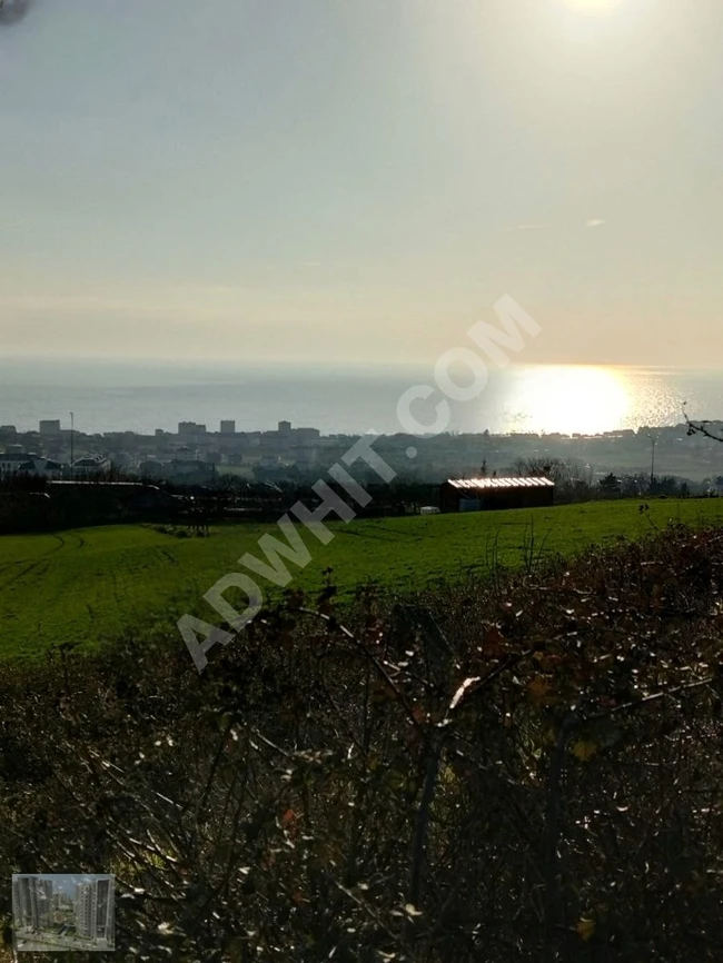 Agricultural land with an area of 3700 square meters, offering a full view of the sea in Celaliye.