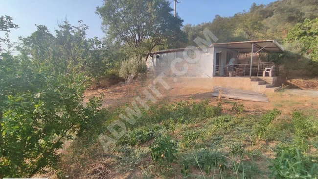 Land for sale, Hobby Garden, with an area of 685 square meters in PELİTKÖY with an official road.