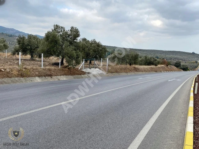 An olive farm with an area of 652 square meters facing the main road in HAVRAN.