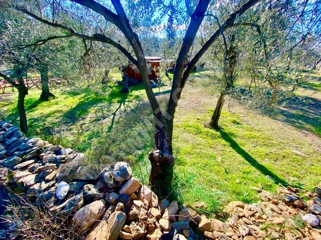 Land for sale, a fantastic hobby garden in KIZILKEÇİLİ.