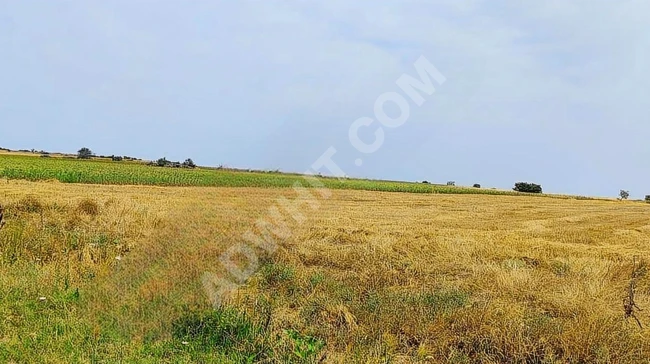 Agricultural land for investment on the KADASTRAL YOL frontage - our own property.