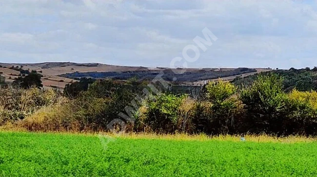 A plot of land for investment on the asphalt road, frontage on the street.