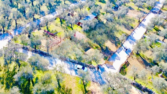 Land for sale, a fantastic hobby garden in KIZILKEÇİLİ.