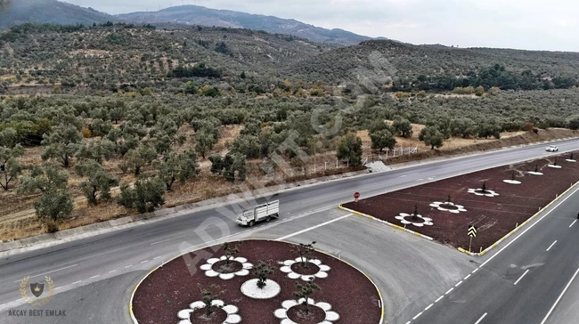 An olive farm with an area of 652 square meters facing the main road in HAVRAN.