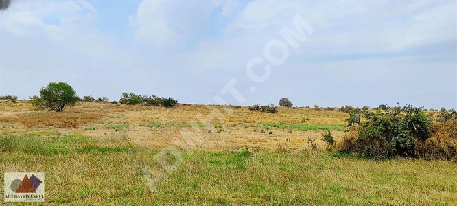 Agricultural land for investment on the KADASTRAL YOL frontage - our own property.