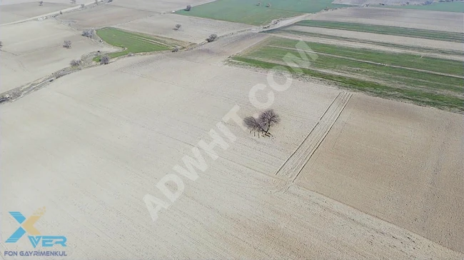 Agricultural land opportunity next to the road in ENEZ YENİCEKÖY