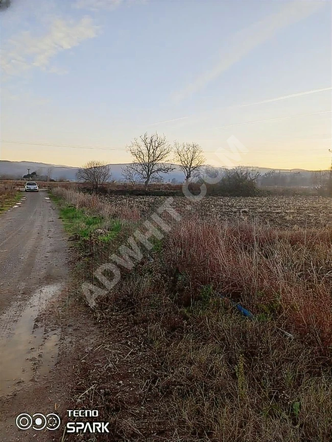 Agricultural land for sale