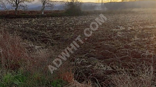 Agricultural land for sale