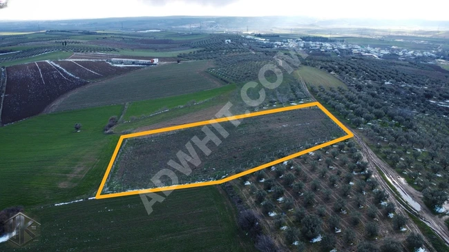 Opportunity for agricultural land with an area of 5200 square meters overlooking the road and fenced with a wire fence.