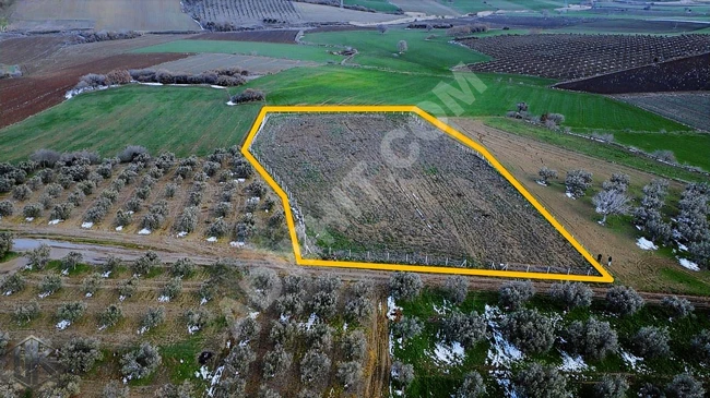 Opportunity for agricultural land with an area of 5200 square meters overlooking the road and fenced with a wire fence.