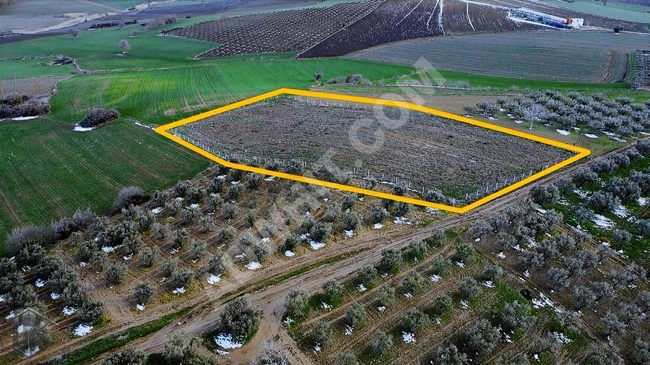 Opportunity for agricultural land with an area of 5200 square meters overlooking the road and fenced with a wire fence.