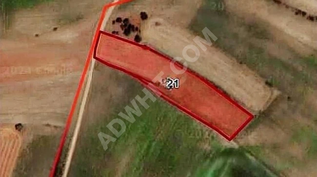KEŞAN KÜÇÜK DOĞANCA 446 M2 1340 M2 1563 M2 TOPLU SATILIK YERİMİZ